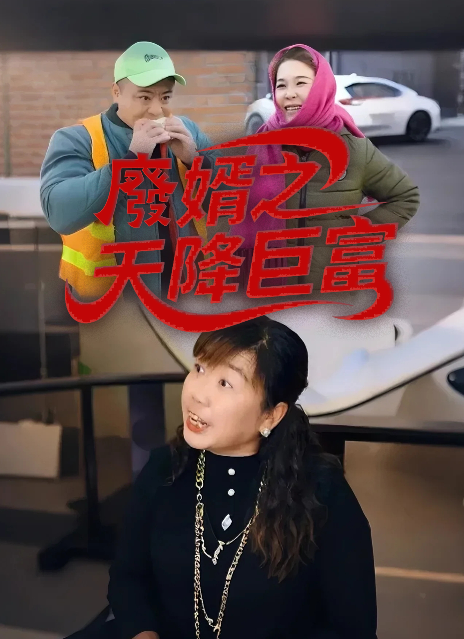 Poster 廢婿之天降巨富