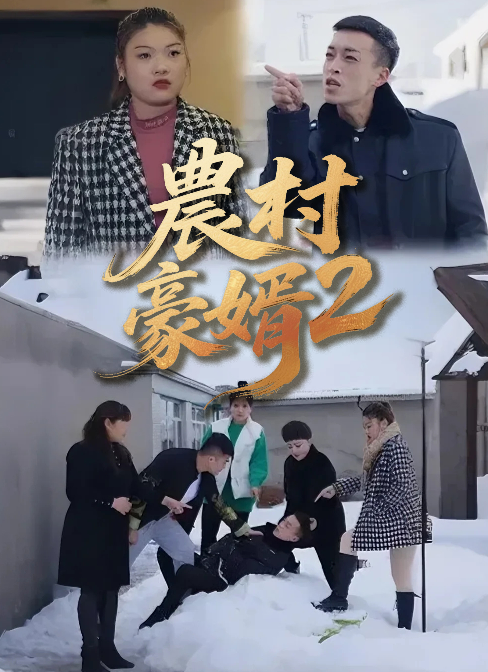 Poster 農村豪婿第2部