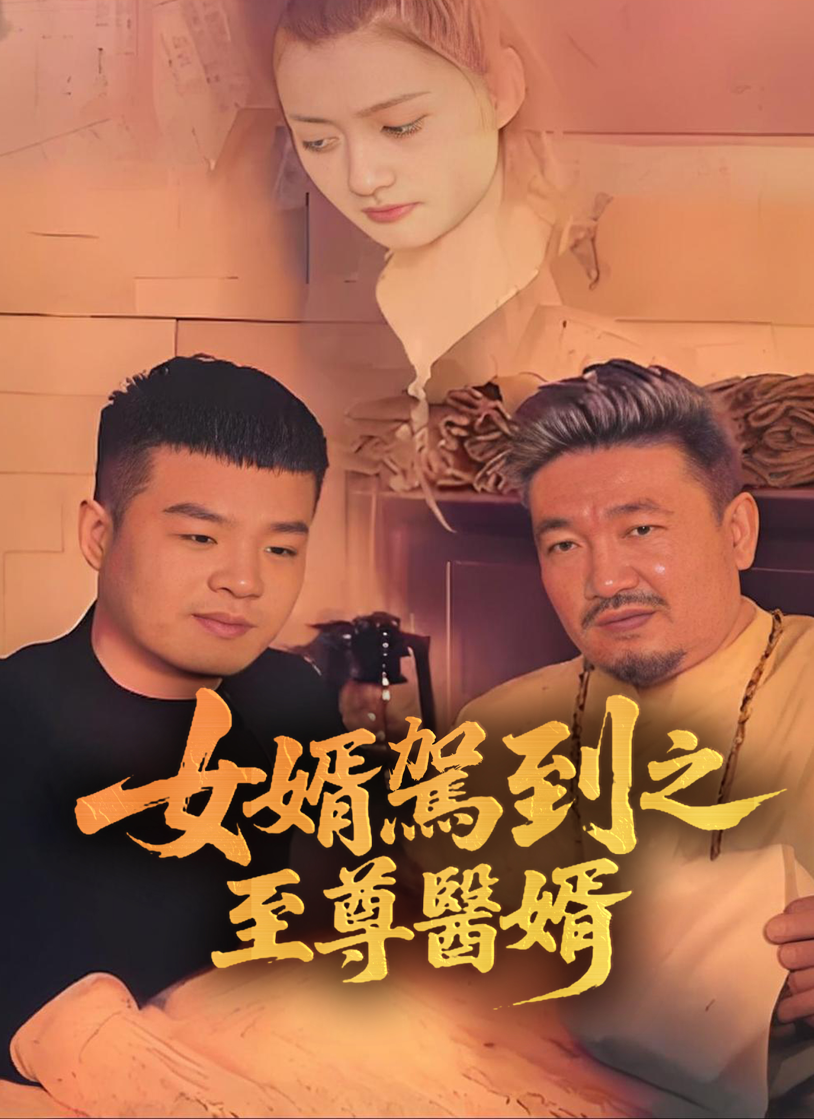 Poster 女婿駕到之至尊醫婿