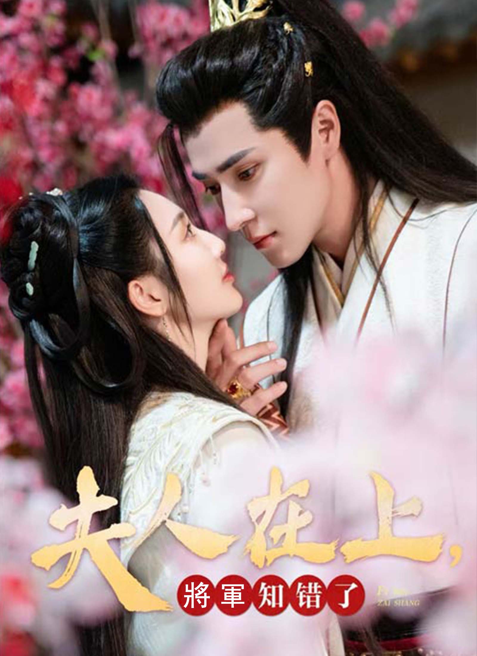 Poster 夫人在上,將軍知錯了