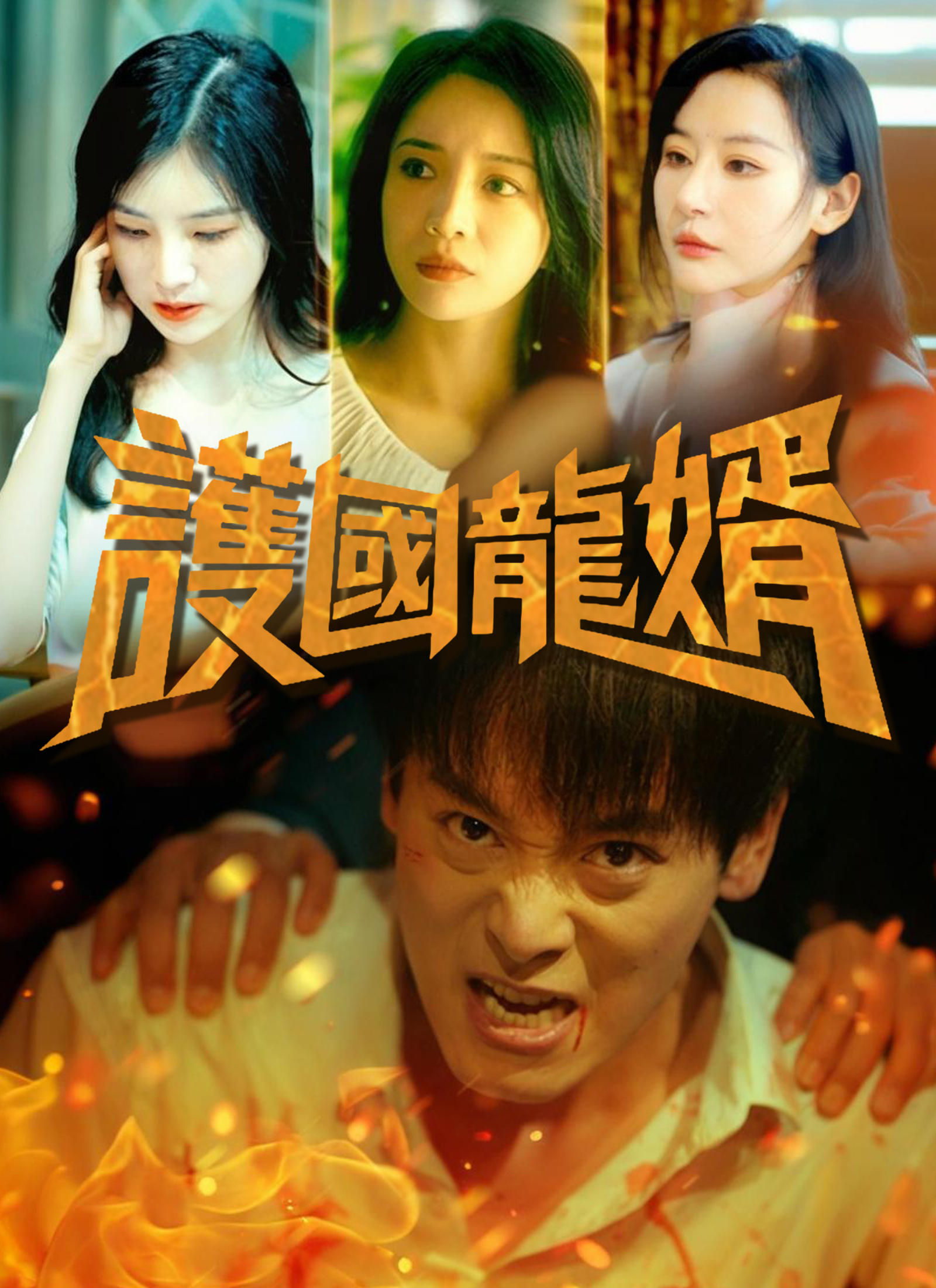 Poster 護國龍婿