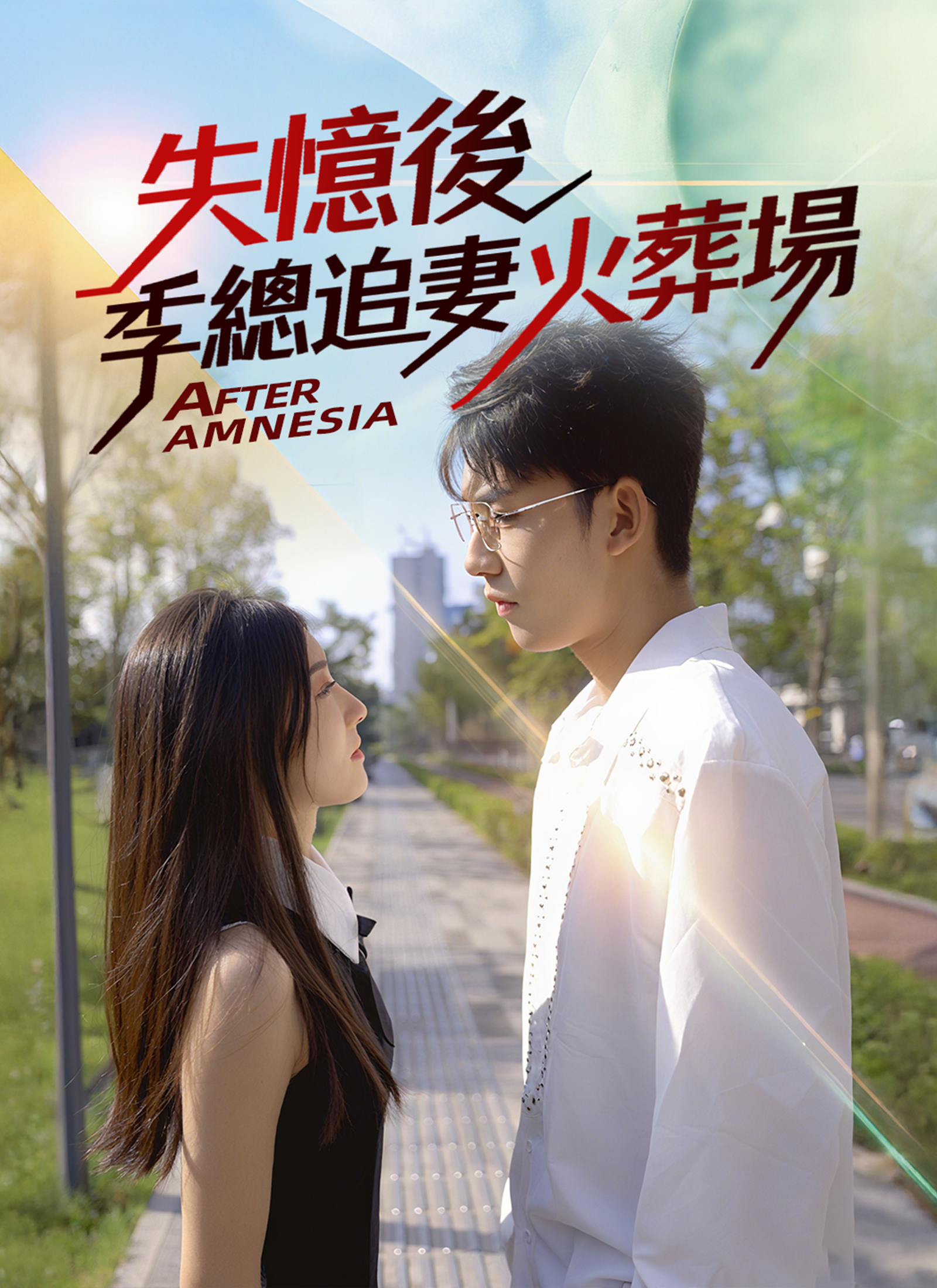 Poster 失憶後 季總追妻火葬場