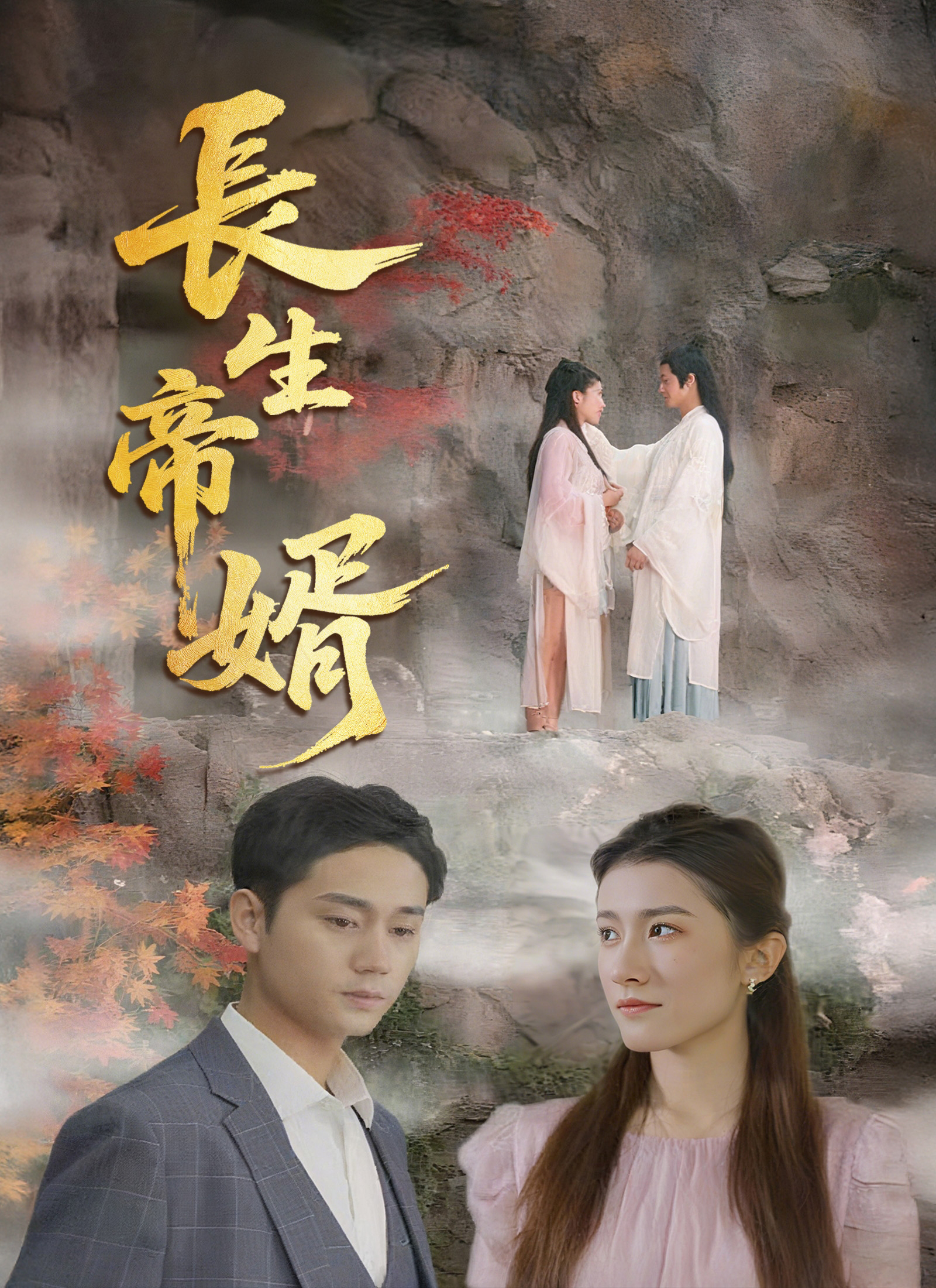 Poster 長生帝婿