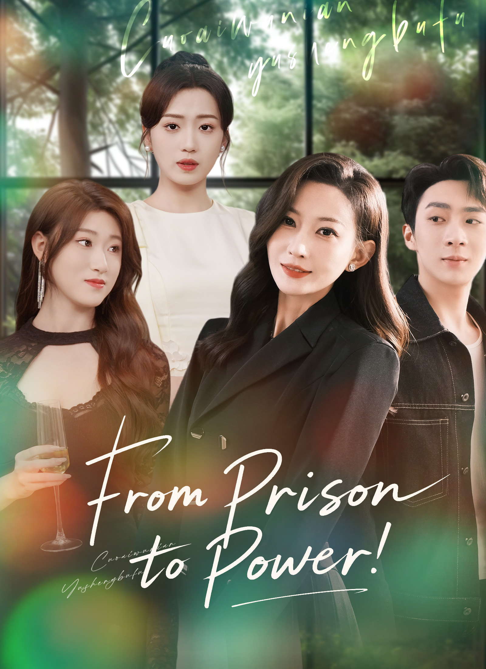 Poster From Prison to Power
