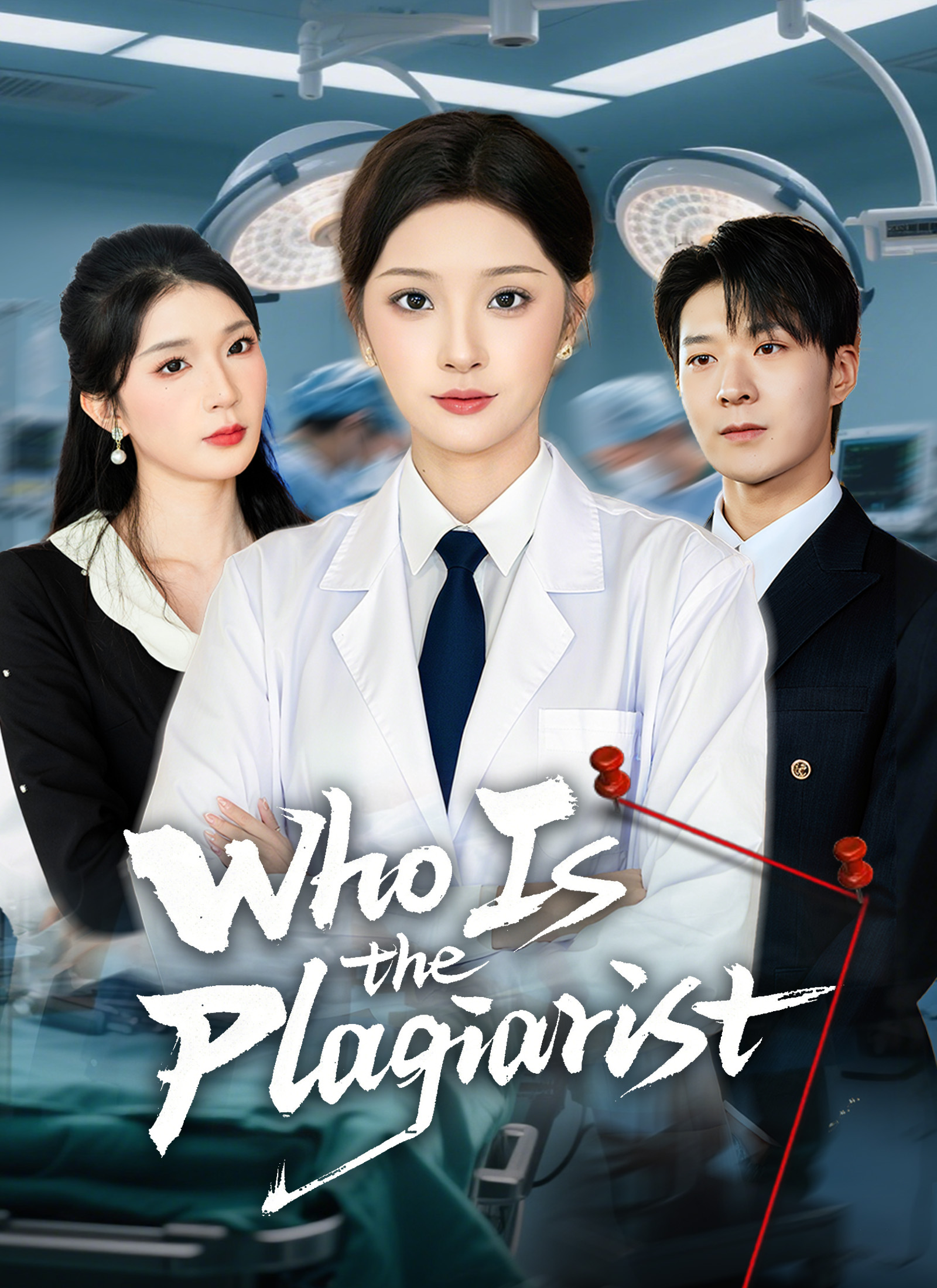 Poster Who Is the Plagiarist